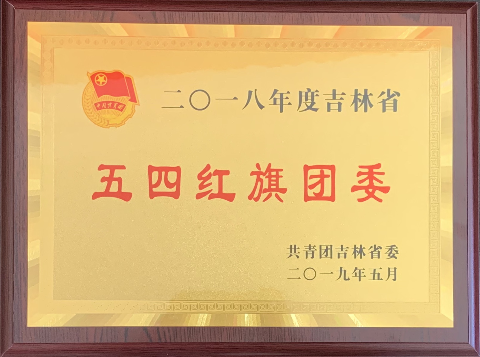 2018年度五四红旗团委.jpg 2018年度五四红旗团委.jpg