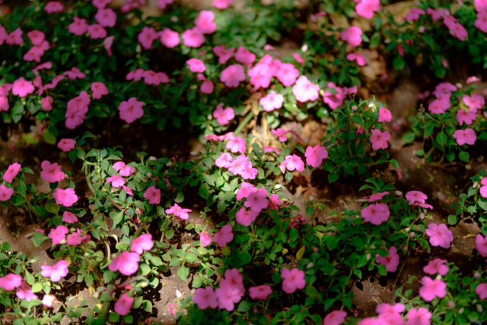 780584b6d6f9ee19c3233d2a30438a66.png