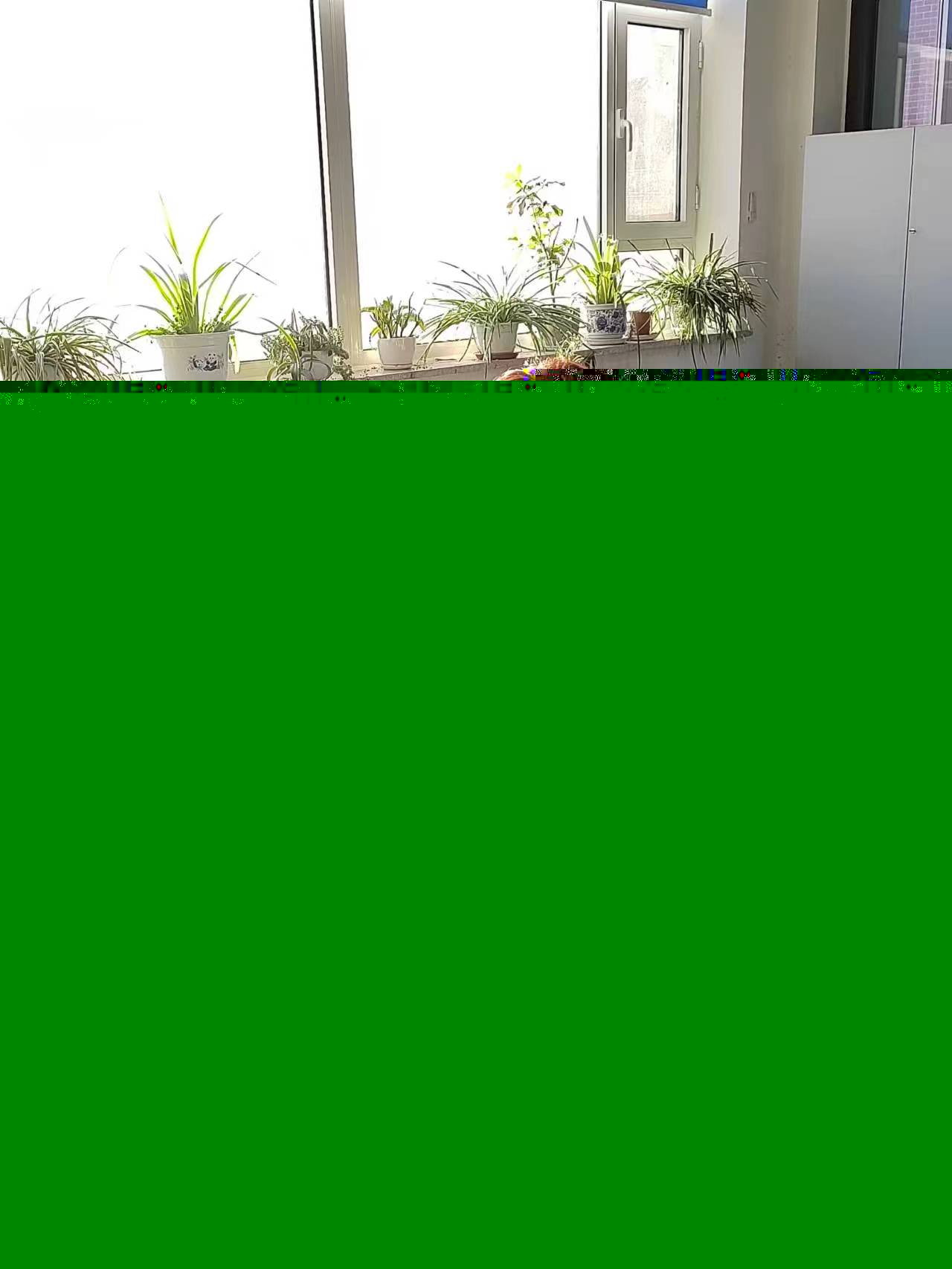 image.png image.png