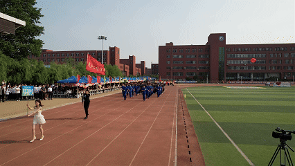 6.gif