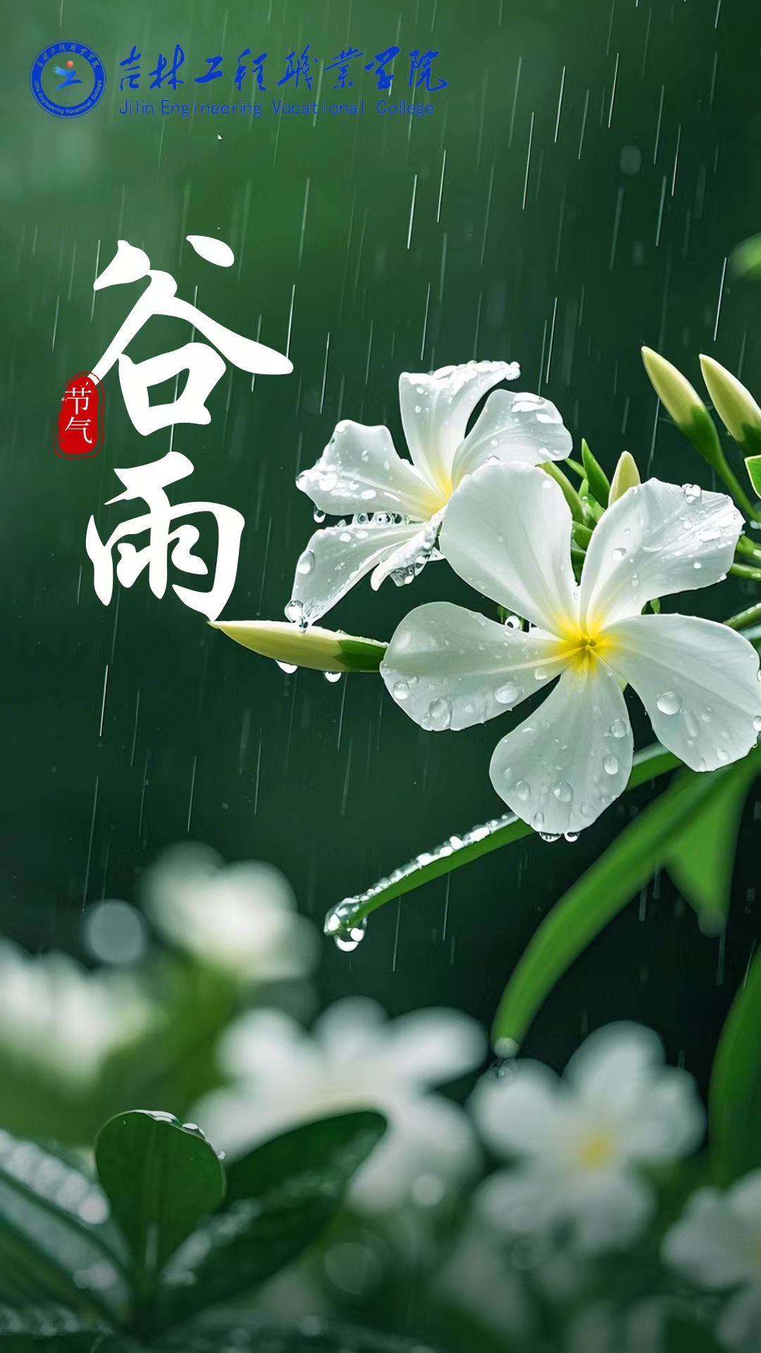 谷雨.jpg
